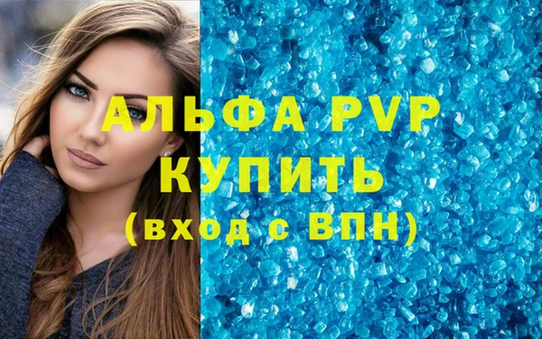 молекула духа Каменногорск