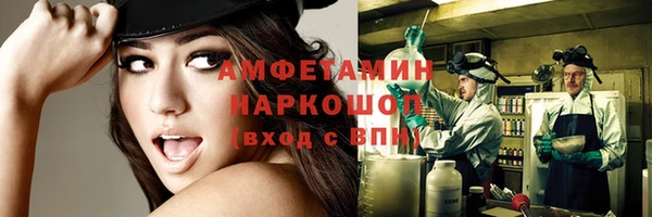 молекула духа Каменногорск