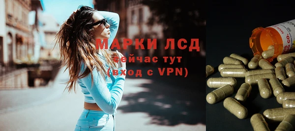 гидропоника Каменка