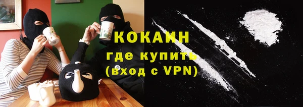 гидропоника Каменка