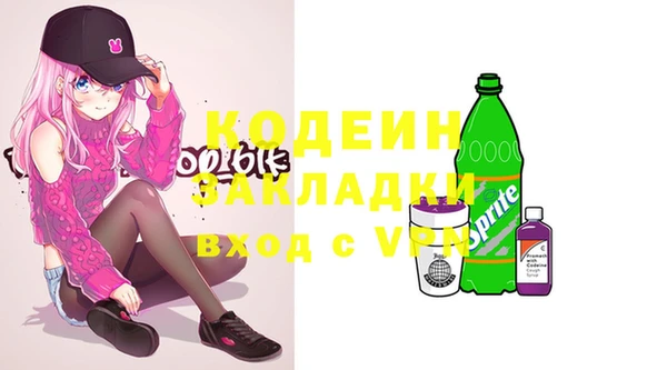 молекула духа Каменногорск
