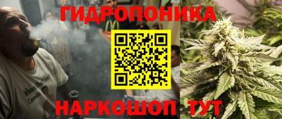 прущие крисы Нальчик