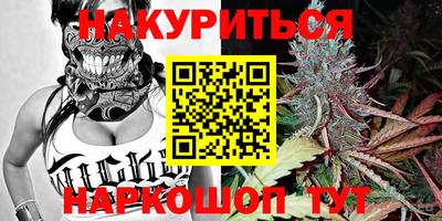 прущие крисы Нальчик