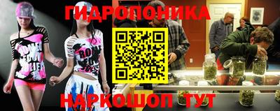 прущие крисы Нальчик