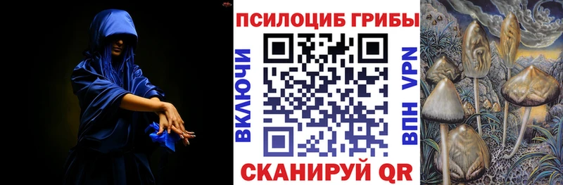 Галлюциногенные грибы Psilocybe  это официальный сайт  Шебекино  продажа наркотиков 