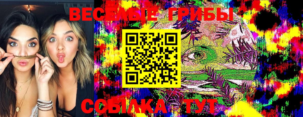 Шебекино  Галлюциногенные грибы GOLDEN TEACHER  что такое наркотик  Галлюциногенные грибы GOLDEN TEACHER  Вход с VPN 