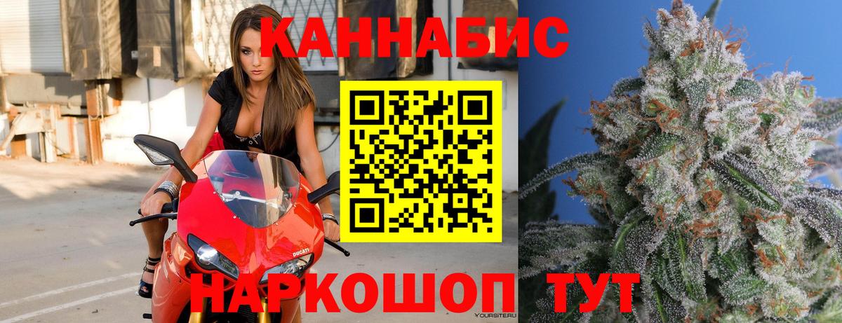 Каннабис семена  Конопля сатива  Бошки Шишки индика  Каннабис тримм  Вход с VPN  Шебекино 